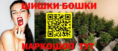 ПСИЛОЦИБИНОВЫЕ ГРИБЫ Канаш