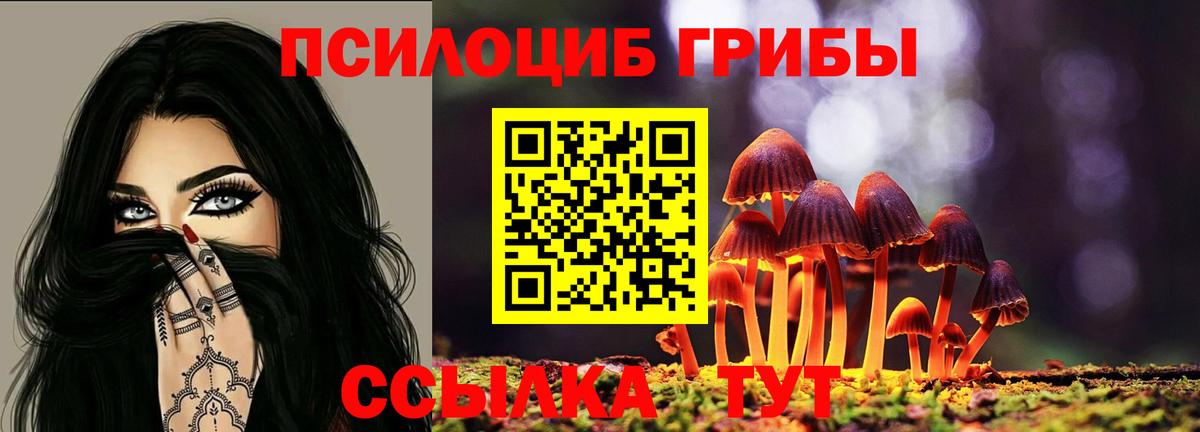 Галлюциногенные грибы Magic Shrooms Луга